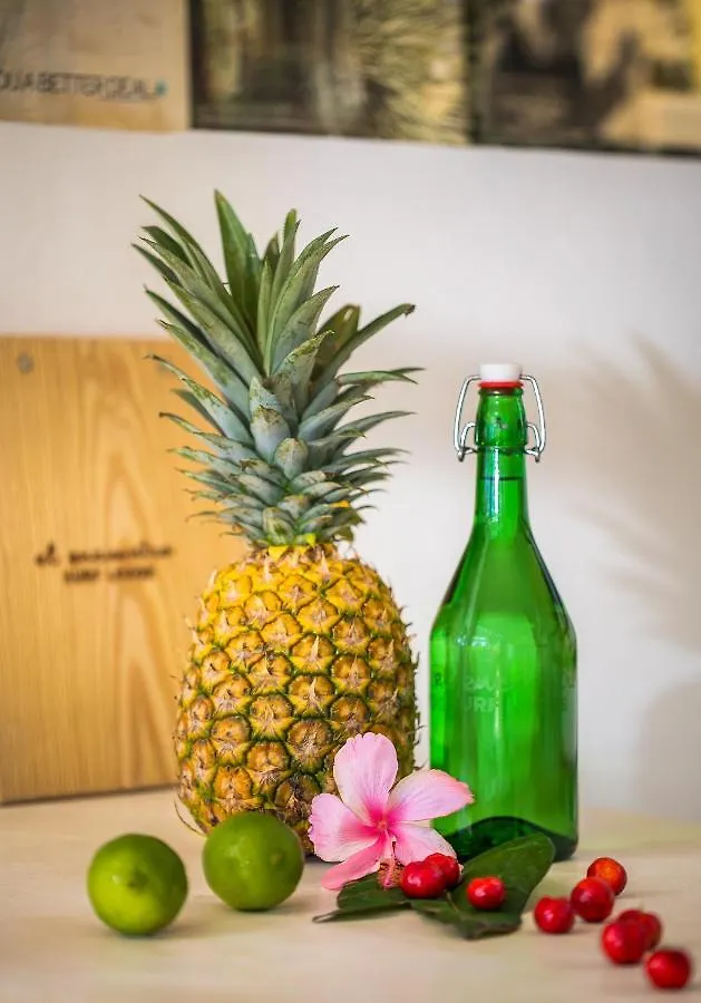 El Encuentro Surf Lodge Cabarete Hotel